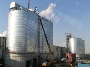 石化（鍛后焦、石油焦）